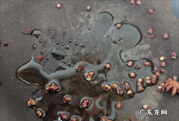 炒茄子怎么炒好吃,清炒茄子的家常做法