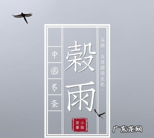 明前茶和雨前茶通过什么节气,雨前茶指的是什么时候的茶