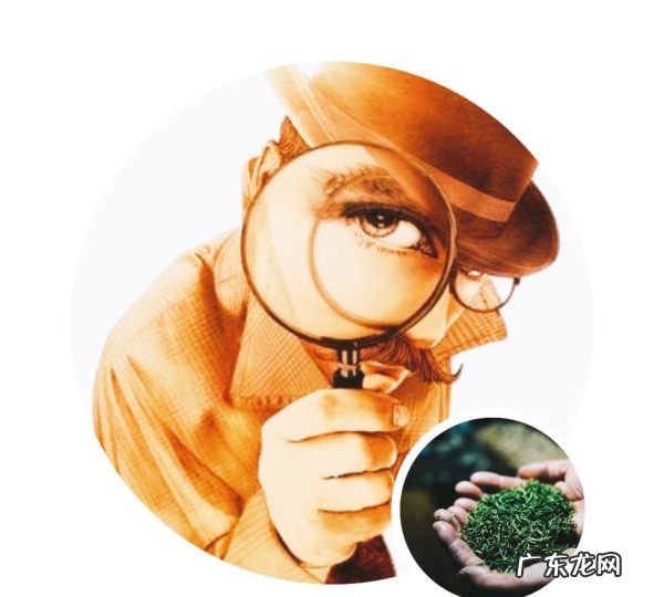 明前茶和雨前茶通过什么节气,雨前茶指的是什么时候的茶