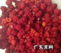 覆盆子酱的制作方法,覆盆子的吃法有哪些 鲜食和做果酱的方法