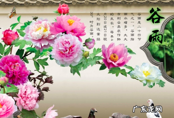 谷雨这个节气的意思是什么,谷雨节气的含义是什么