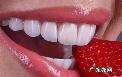 淑牙脆饼的三种材料,为什么狗粮用水泡过狗狗就不吃