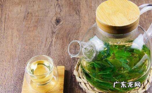 桑树叶怎样处理泡水喝,桑树叶怎样泡水喝最好