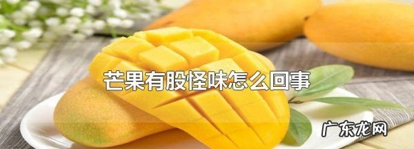 芒果没坏怎么有股臭味,芒果有一股怪味是不是用了药水