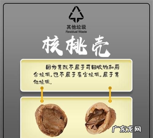瓜子壳、花生壳、榴莲壳、核桃壳属于什么垃圾,核桃壳属于什么垃圾分类