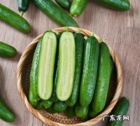水果黄瓜怎么保存时间长,黄瓜怎么才能保存时间长