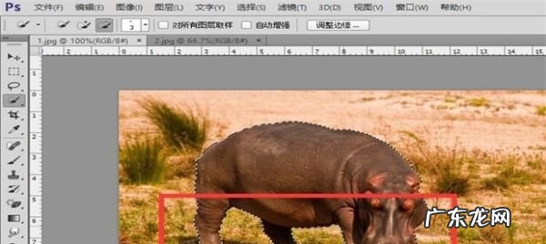 psd怎么导入skp,psd文件怎么导入sketch