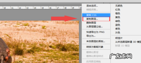 psd怎么导入skp,psd文件怎么导入sketch