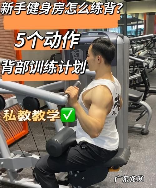 背部锻炼的几个动作,背部肌肉锻炼八大动作