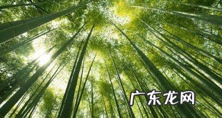 竹灰有什么用处,竹子灰和草木灰的区别