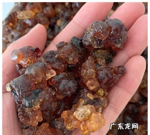 野生桃胶辨别真假,怎样分辨桃胶的好坏