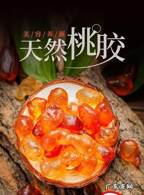 野生桃胶辨别真假,怎样分辨桃胶的好坏