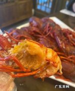 小龙虾肉不紧是什么原因,小龙虾做出来肉质发散什么原因