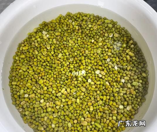 怎样知道绿豆坏了,已经发芽的绿豆浮在水面上是不是已经坏了
