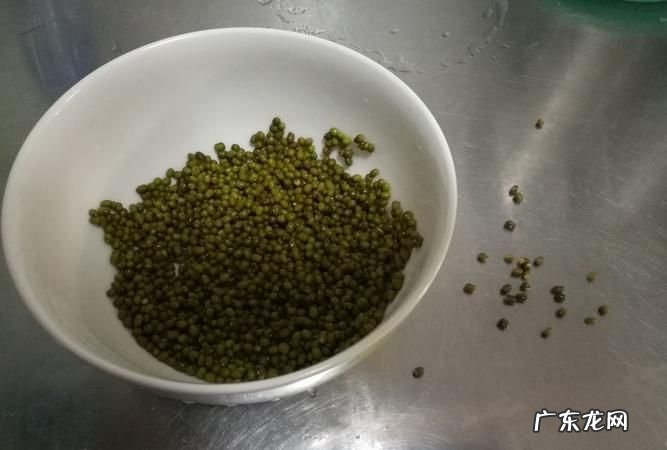 怎样知道绿豆坏了,已经发芽的绿豆浮在水面上是不是已经坏了