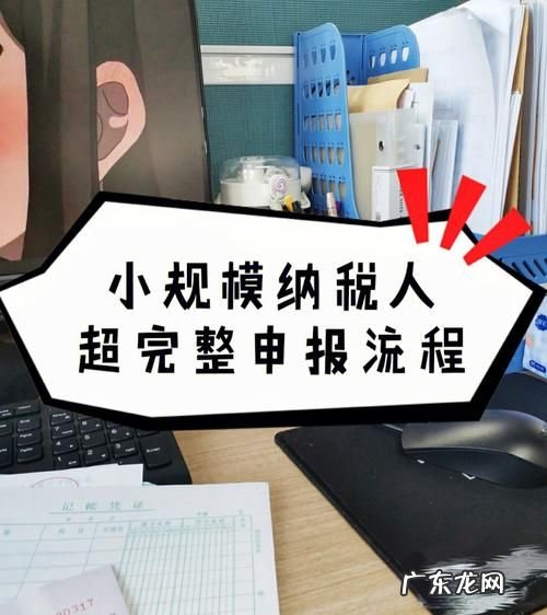 小规模纳税人如何报税,小规模纳税人申报纳税详细流程图