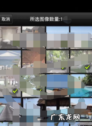 相机wifi怎么用,手机和相机怎么连接