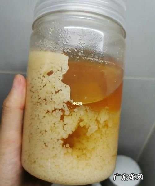 蜂蜜放冰箱不结晶是真的,蜂蜜放冰箱怎么辨别真假