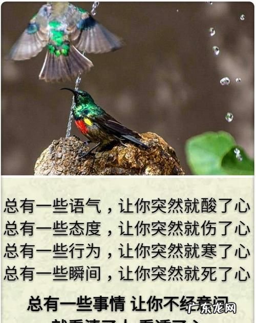 忽然和突然的区别在哪里,忽然竟然和居然的意思各是什么