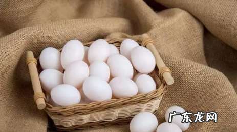鸽子蛋和鸡蛋营养对比,鸡蛋和鸽子蛋的营养有区别