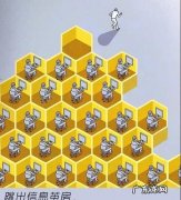 茧房效应是什么,思维茧房