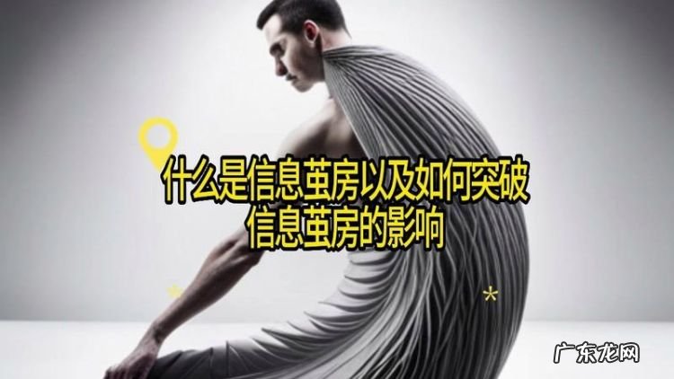 茧房效应是什么,思维茧房