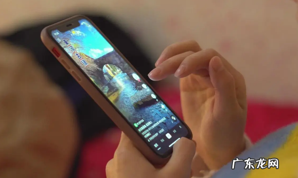 茧房效应是什么,思维茧房