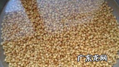 怎么样泡什麦粒钓大鲫鱼,怎么用麦粒钓鲫鱼