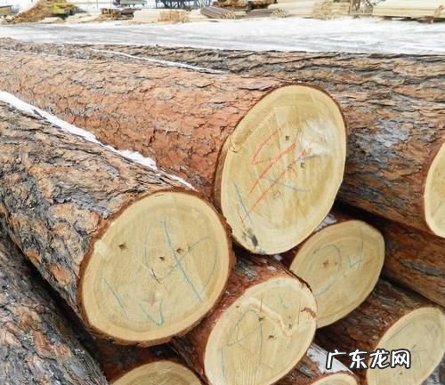 樟子松的气味会致癌,俄罗斯樟子松气味有毒么