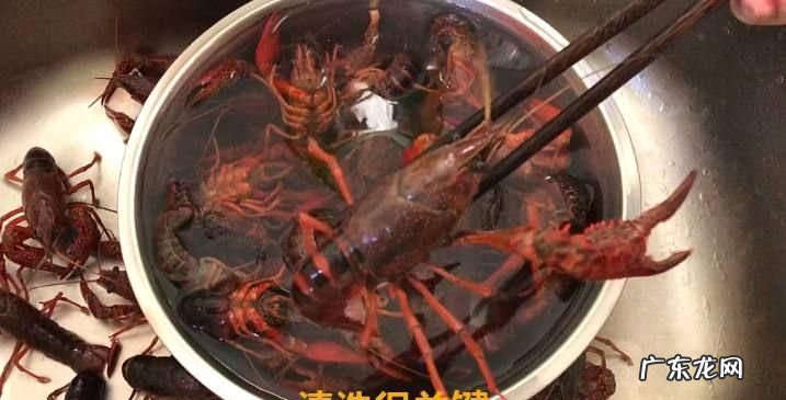被小龙虾夹到手有毒,被河虾扎了有毒