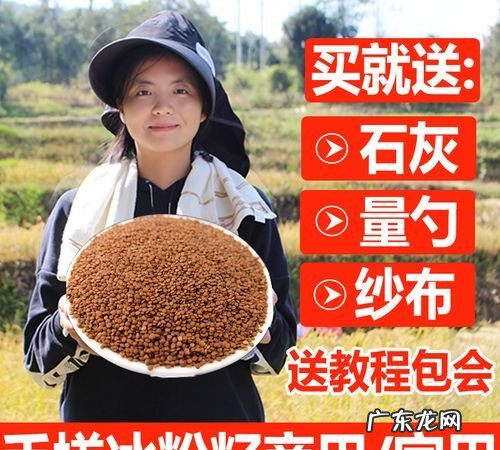 斤冰粉籽做多少斤冰粉,搓出来的冰粉不凝固可以吃