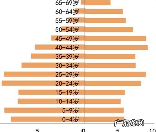 年龄结构分为哪几种类型,年龄组成三种类型图示