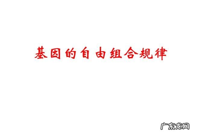 自由组合发生在什么时期,基因的自由组合体现在什么时期