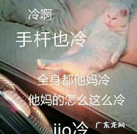 jio的是什么意思,“ jio”这个词是什么意思