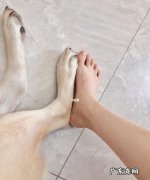 jio的是什么意思,“ jio”这个词是什么意思