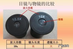 镜头的放大倍数怎么看,显微镜物镜放大倍数有哪些规格怎么区分