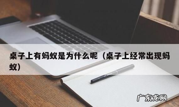 桌子上为什么无缘无故有蚂蚁,家里窗户有蚂蚁爬进来怎么办
