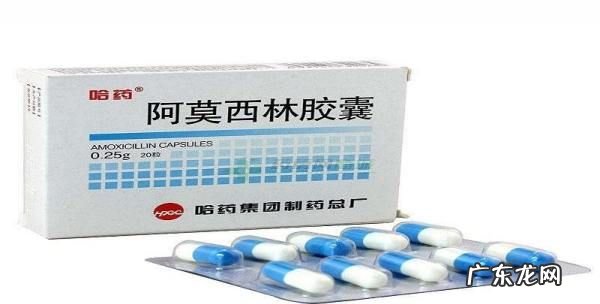 阿莫西林浇花的利弊,阿莫西林养花的作用与用途