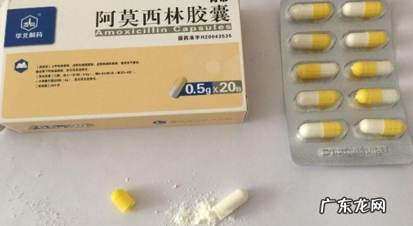 阿莫西林浇花的利弊,阿莫西林养花的作用与用途
