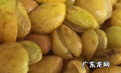 黄皮果怎么洗干净,黄皮果怎样清洗才干净
