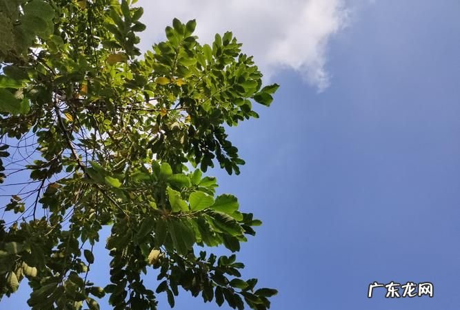 4608x3456是多少像素,500万像素怎么算