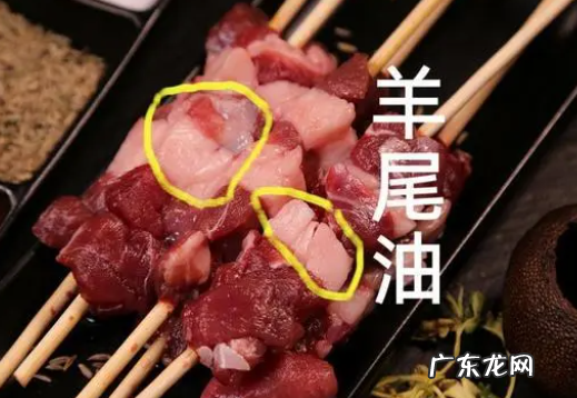 羊尾油是什么部位,羊尾巴油是哪儿的部位
