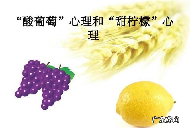 酸葡萄怎么变成甜的,晴王酸放两天会甜