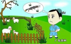 亡羊补牢养羊的人是一个怎样的人,巜亡羊补牢》讲的是一位养羊人 干啥