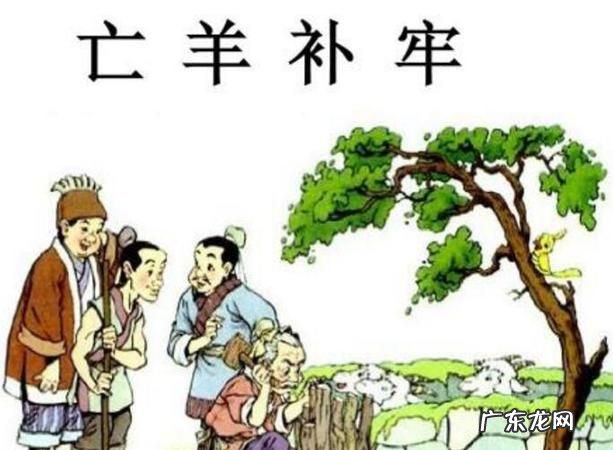 亡羊补牢养羊的人是一个怎样的人,巜亡羊补牢》讲的是一位养羊人 干啥