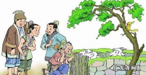 亡羊补牢养羊的人是一个怎样的人,巜亡羊补牢》讲的是一位养羊人 干啥