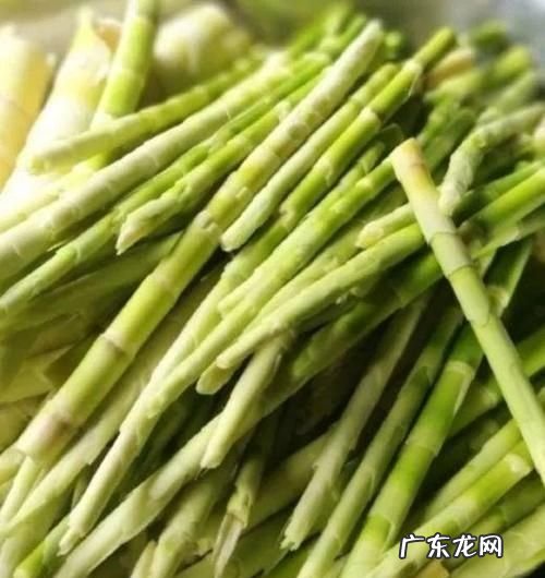 北方的竹笋可以吃,北方种的竹子的竹笋能不能吃