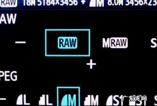 raw模式是什么意思,raw是什么意思