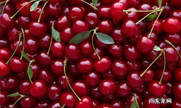 生理期可以吃樱桃,来姨妈可以吃樱桃车厘子