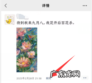 删除朋友圈怎么删掉,怎样删除朋友圈里的内容